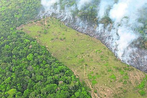 Brandrodungen im Amazonas-Gebiet haben unmittelbare Auswirkungen auf das Wetter andernorts. Archivfoto: dpa