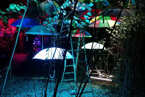 Im Kultur-Dschungel, der bis Mitte November Unter den Eichen in Wiesbaden stattfindet, verschmilzt an verschiedenen Lichtkunstorten Natur mit Licht- und Klanginstallationen zu schillernden Farben. Foto: Kultur-Dschungel