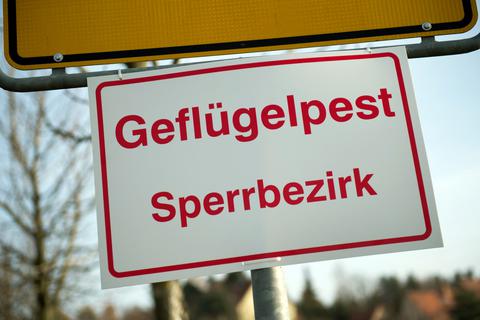Ein Schild  mit der Aufschrift "Geflügelpest Sperrbezirk". 
