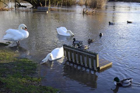 Enten und Schwäne können jetzt um die Bank am Lahnufer nahe der Fischerhütte im Wetzlarer Stadtbezirk Niedergirmes schwimmen. 