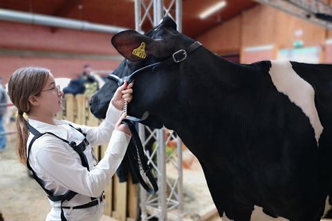 Marlene Caspar mit der Kuh „Leonie“. Die Zwölfjährige aus Heimertshausen führte bei der Zukunft Rind 2023 in Alsfeld erstmals eine Kuh in den Ring. „Marlene macht das richtig gut“, fand ihr Opa Karl Caspar.  