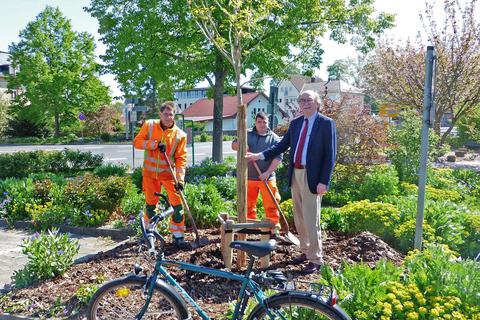 Bürgermeister Rainer-Hans Vollmöller und Mitarbeiter des Bauhofs pflanzen gegenüber des Lichtspielhauses einen Baum. Foto: Stadt Lauterbach