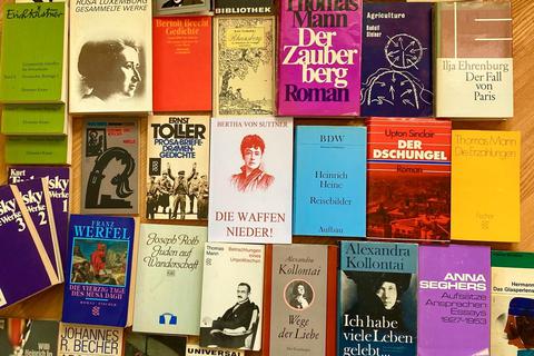 SI sammelt Bücher, mit denen der Lauterbacher Löwe verhüllt werden soll.  Foto: Kirst 