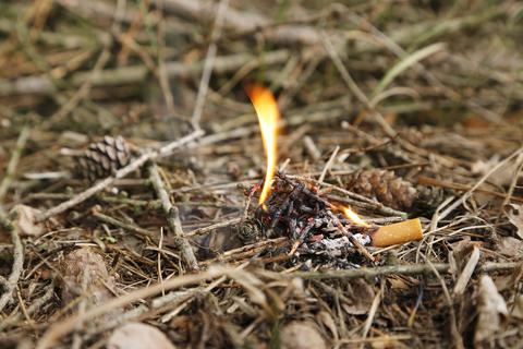Wer unachtsam mit Feuer umgeht, riskiert in der aktuellen Dürreperiode gefährliche Brände. Foto: tech_studio – stock.adobe