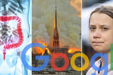 Wo schmerzt der Blinddarm? Warum brennt Notre-Dame? Und was macht Greta Thunberg? Das wollten Google-User 2019 wissen. Fotos: dpa, Colourbox.com