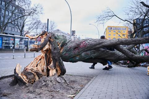 Ein Baum liegt auf dem Gehweg an der Warschauer Straße. Sturmtief Zeynep fegte nachts bei Berlin.  Foto: dpa