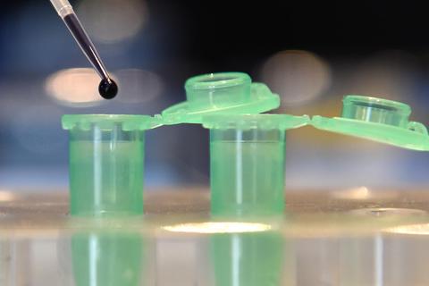 Die Biotech-Branche versucht, Antikörper gegen das Coronavirus zu entwickeln, die sich mit gentechnischen Methoden „kopieren“ lassen. Foto: dpa